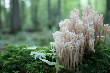 Similar image 291752