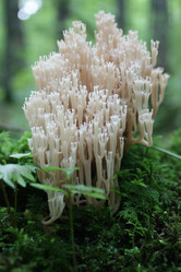 Similar image 291753