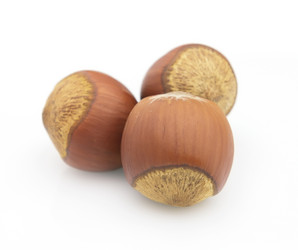 Similar image 291810