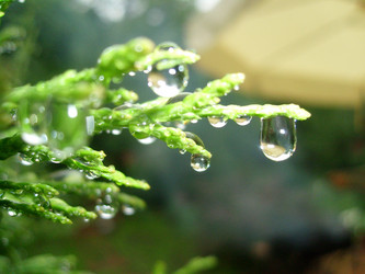 Similar image 291815