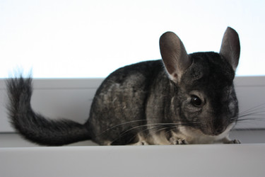 Similar image 291818