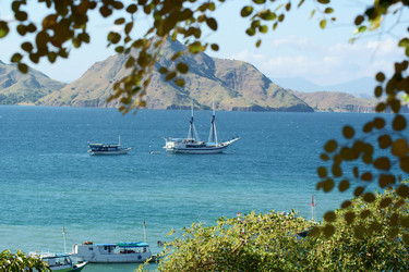 Similar image 291828