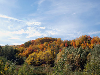 Similar image 291838