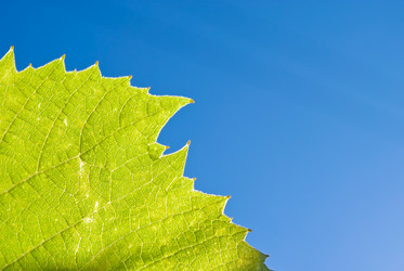 Similar image 291848