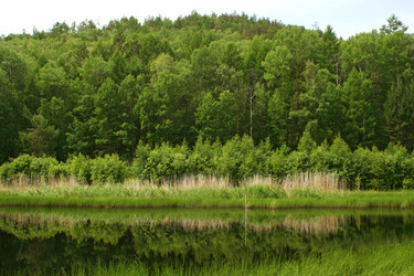 Similar image 291892