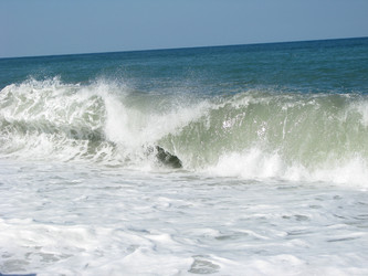 Similar image 291894