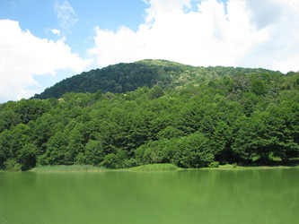 Similar image 291896