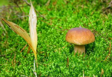 Similar image 291898