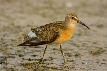 Similar image 291913