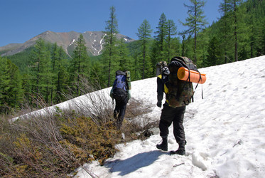 Similar image 291920