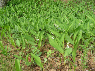 Similar image 291923