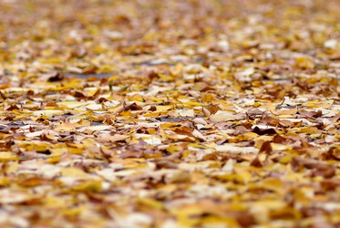 Similar image 291996