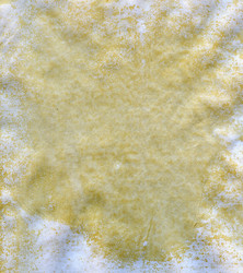 Similar image 291999