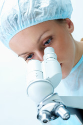 Similar image 292151