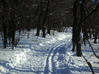 Similar image 292185