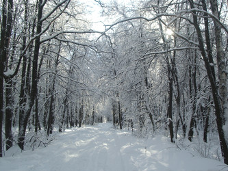 Similar image 292186