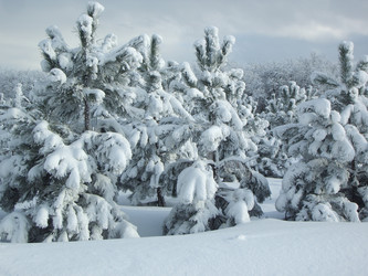 Similar image 292190