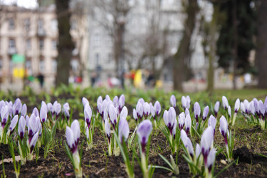 Similar image 292238