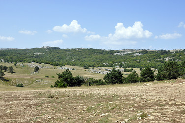 Similar image 292280