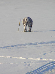 Similar image 292287