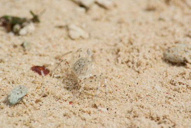 Similar image 292289