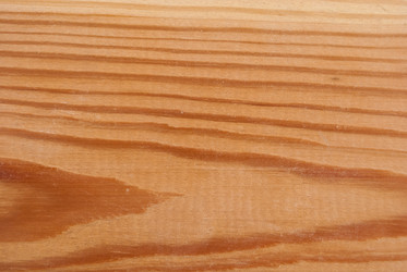 Similar image 292302