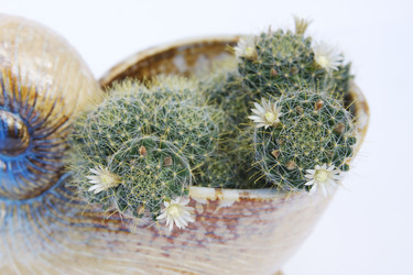 Similar image 292317