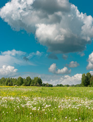 Similar image 292318