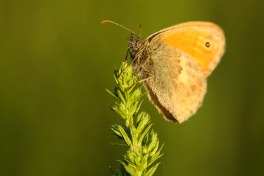 Similar image 292321