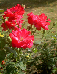 Similar image 292325