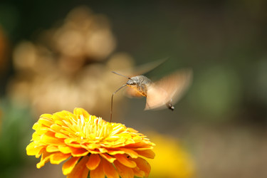 Similar image 292326