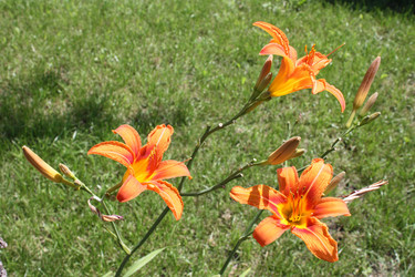 Similar image 292327