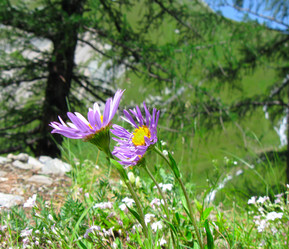 Similar image 292330