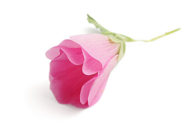 Similar image 292339