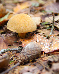 Similar image 292367