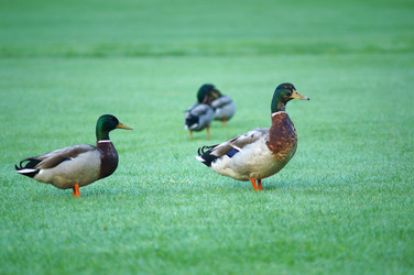 Similar image 292420