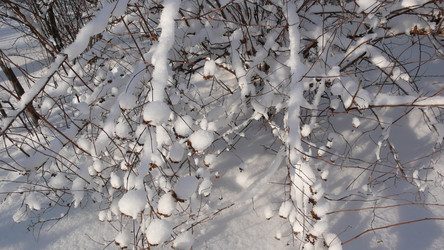 Similar image 292437