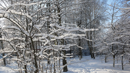 Similar image 292438