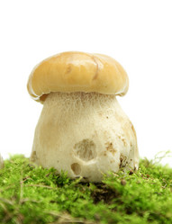 Similar image 292449