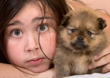 Similar image 292580