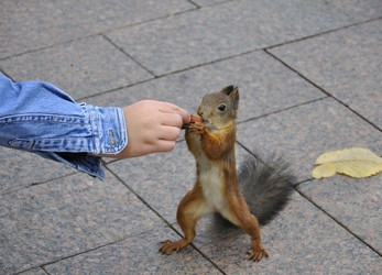 Similar image 292582