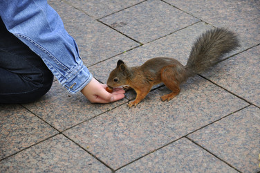 Similar image 292583