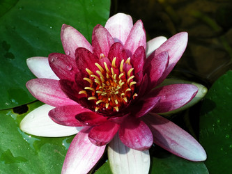 Similar image 292584