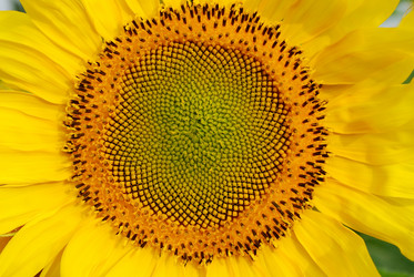 Similar image 292585