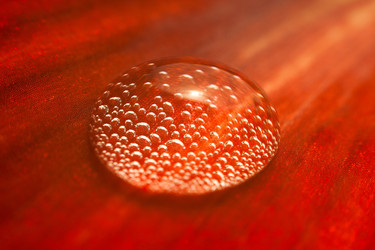 Similar image 292606