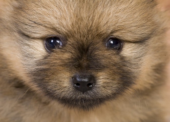 Similar image 292671