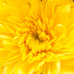 Similar image 292701