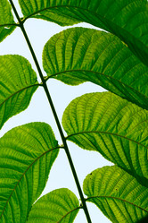 Similar image 292929