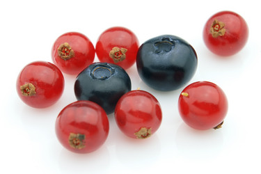 Similar image 292930