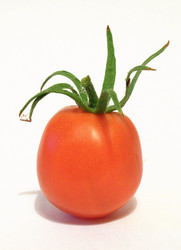 Similar image 292935